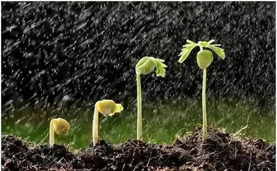 土壤墑情監(jiān)測(cè)系統(tǒng)的安裝步驟