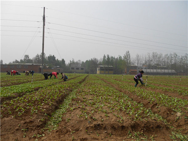 土壤養(yǎng)分速測(cè)儀的速測(cè)方法是什么？