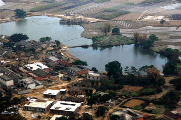 土壤水分對葉片特性有什么影響？