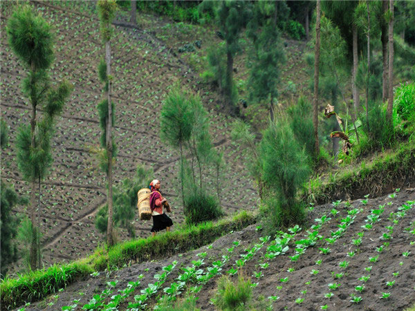 土壤墑情監(jiān)測站可提供全面的信息服務 土壤墑情監(jiān)測站可提供全面的信息服務
