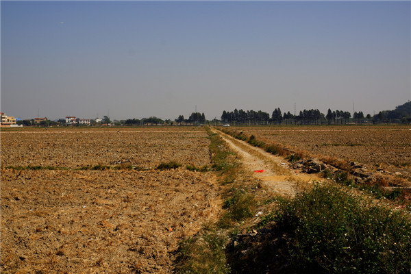 土壤養(yǎng)分速測(cè)儀保障我國(guó)耕地質(zhì)量 土壤養(yǎng)分速測(cè)儀保障我國(guó)耕地質(zhì)量