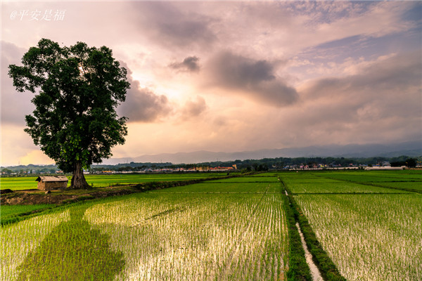 土壤墑情速測儀的使用效果怎么樣？