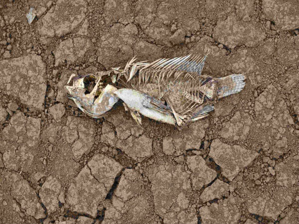 安裝土壤墑情自動(dòng)監(jiān)測系統(tǒng)的意義在哪里？