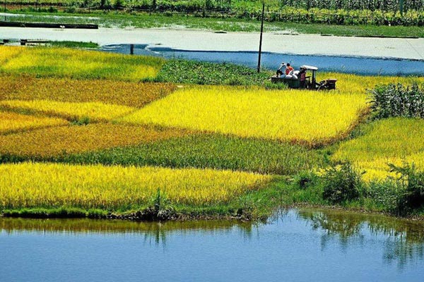 土壤墑情自動(dòng)監(jiān)測(cè)站淺析 土壤墑情自動(dòng)監(jiān)測(cè)站淺析