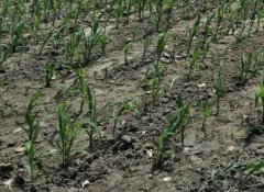 土壤墑情監(jiān)測(cè)站是怎樣的系統(tǒng)？