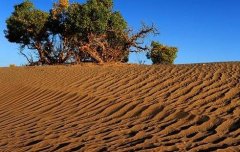 基于物聯(lián)網的區(qū)域農田土壤墑情監(jiān)測系統(tǒng)