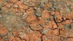 建設墑情自動監(jiān)測系統(tǒng)的3個優(yōu)勢