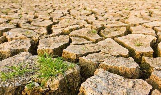 目測土壤墑情？