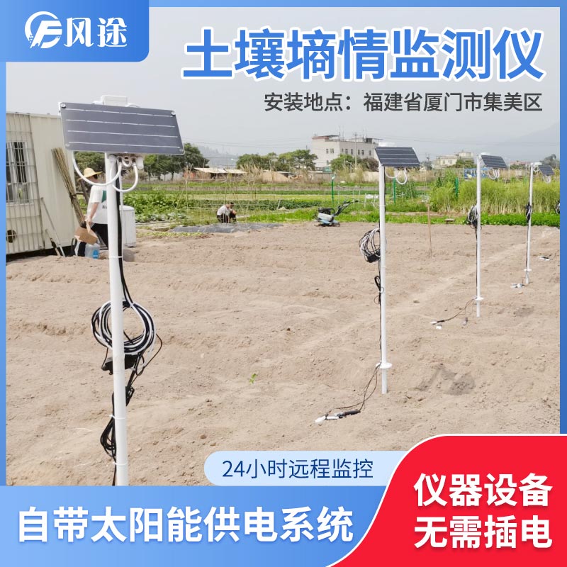 土壤水分實(shí)時監(jiān)測設(shè)備是如何在菠蘿園發(fā)揮作用的？