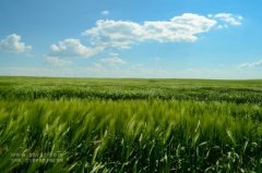 智慧農(nóng)業(yè)帶來了什么？