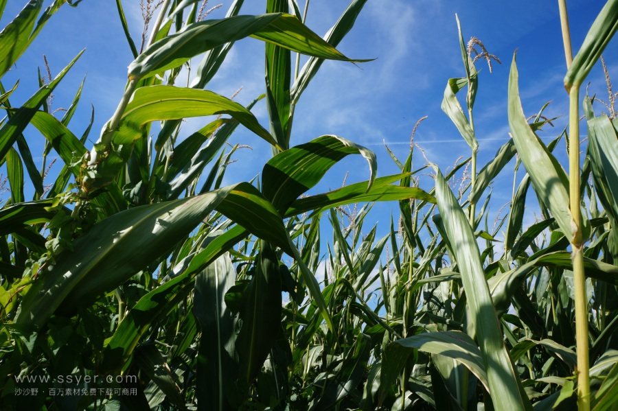 農(nóng)業(yè)節(jié)水，如何用科技支撐？